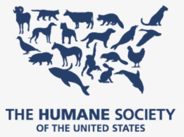 Ratatouille And Quinoa - United States Humane Society, HD Png Download, Transparent PNG
