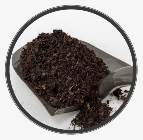 Dessert, HD Png Download, Transparent PNG