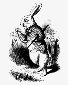 White Rabbit Alice In Wonderland Book, HD Png Download, Transparent PNG