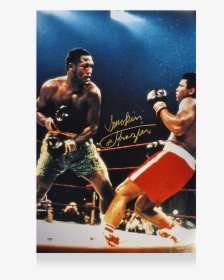 Joe Frazier Knockout Muhammad Ali, HD Png Download, Transparent PNG