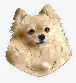 Image - German Spitz Mittel, HD Png Download, Transparent PNG