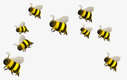 #freetoedit - Honeybee, HD Png Download, Transparent PNG