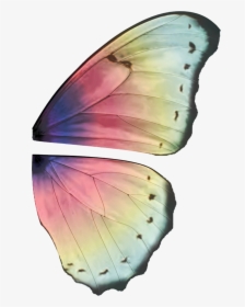 Thumb Image - Butterfly Wing Design Ideas, HD Png Download, Transparent PNG