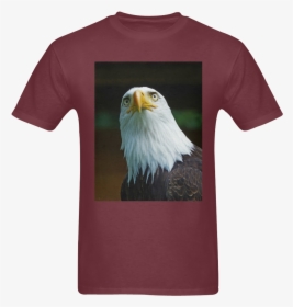 American Bald Eagle Head 001 10 Sunny Men S T- Shirt - T-shirt, HD Png Download, Transparent PNG
