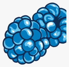 Blue Raspberry Clipart, HD Png Download, Transparent PNG