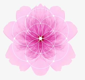 Satnamrasayanmandalas - Circle, HD Png Download, Transparent PNG