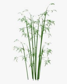Bamboo Png, Transparent Png, Transparent PNG