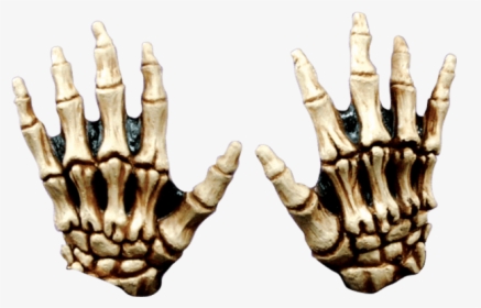 Child Sized Skeleton Latex Gloves White Or Bone Halloween - Manos De Calavera Halloween, HD Png Download, Transparent PNG