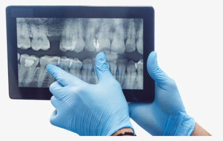 Picture - Dentistry, HD Png Download, Transparent PNG