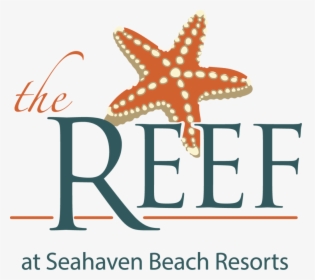 Reef Hotel Logo Outlines - Starfish, HD Png Download, Transparent PNG