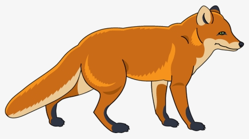 Red Fox, HD Png Download, Transparent PNG
