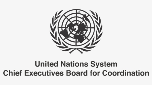 Un Ceb For Coordination - United Nations Seal Png, Transparent Png, Transparent PNG