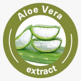 Aloe Vera Textile, HD Png Download, Transparent PNG