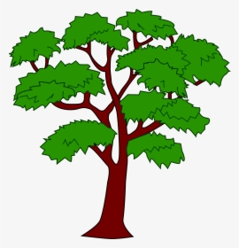 Big Tree Clipart Png Free Clipart - Mahogany Tree Clipart, Transparent Png, Transparent PNG