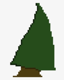 Colorado Spruce, HD Png Download, Transparent PNG