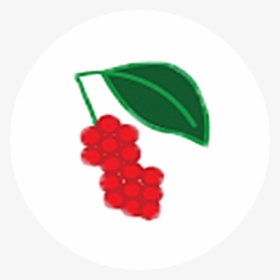 Schisandra Berry - Seedless Fruit, HD Png Download, Transparent PNG