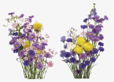 Kisspng English Lavender Cut Flowers Overlay Real Flower - Transparent Background Real Flowers Png, Png Download, Transparent PNG