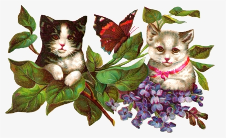 Antique Images Vintage Image - Vintage Flower Cat Clipart, HD Png Download, Transparent PNG