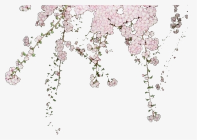 Editing, Flowers, And Overlay Image - Wisteria, HD Png Download, Transparent PNG