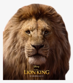 #mufasa #thelionking #lionking #disney #lion, HD Png Download, Transparent PNG