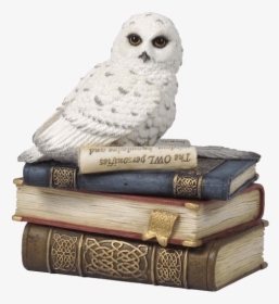 Snow Owl On Books Trinket Box - Snowy Owl, HD Png Download, Transparent PNG