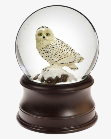 Owl Snow Globe, HD Png Download, Transparent PNG