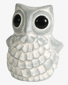 Transparent Snow Owl Clipart - Screech Owl, HD Png Download, Transparent PNG