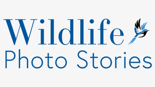 Wildlife Photo Stories Logo Large - Circle, HD Png Download, Transparent PNG