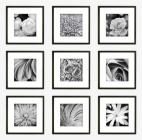 9 Frame Gallery Wall, HD Png Download, Transparent PNG