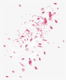 Pink Rose Petals Png - Transparent Flower Petal Png, Png Download, Transparent PNG