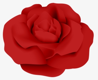Garden Roses Red Petal, HD Png Download, Transparent PNG