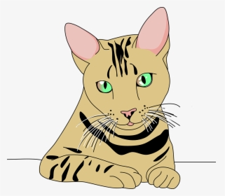 Cat, HD Png Download, Transparent PNG