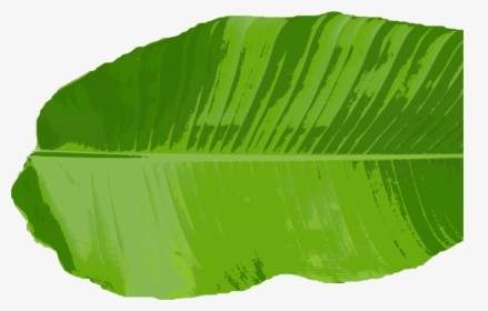 Transparent Leaf Clipart Free - Banana Leaf Vector Png, Png Download, Transparent PNG