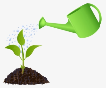 Garden Clipart Water Garden - Watering A Plant, HD Png Download, Transparent PNG