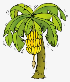 Banana Tree Cartoon Png , Png Download - Banana Tree Clipart Png, Transparent Png, Transparent PNG
