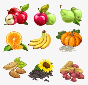 Nut Cartoon Illustration Apple - Dibujo De Alimentos, HD Png Download, Transparent PNG