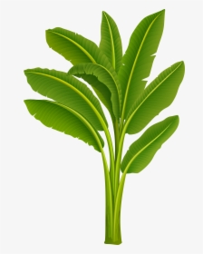 Clip Art Cartoon Plant Png - Banana Tree Leaf Png, Transparent Png, Transparent PNG