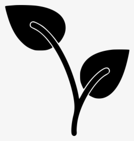 Growing Plant, HD Png Download, Transparent PNG