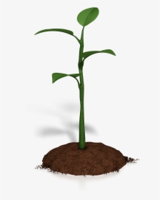 Soil Clipart Plant Growth - Without Continual Growth And Progress Such Words, HD Png Download, Transparent PNG