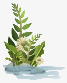 Transparent Growing Clipart - Plant Clip Art, HD Png Download, Transparent PNG