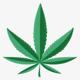 Weed Leaf Transparent Background, HD Png Download, Transparent PNG