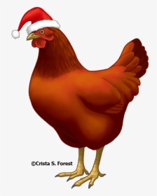 Well, Looks Are Deceiving - Chicken With Santa Hat, HD Png Download, Transparent PNG