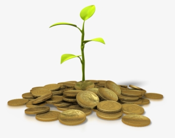 A Plant Growing From A Pile Of Gold Coins - Invest Png, Transparent Png, Transparent PNG