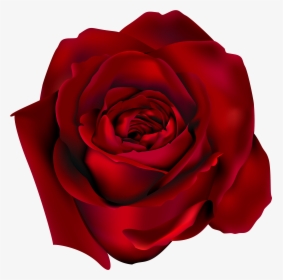 Png Clipart Picture Gallery - Red Rose, Transparent Png, Transparent PNG
