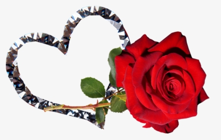 Rose, Red, Flower, Valentine, Romantic - Good Night Tamil Heart, HD Png Download, Transparent PNG