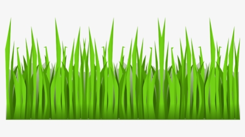 Green, Grass, Growing, Nature, Mowing, Plant, Outside - Cartoon Grass No Background, HD Png Download, Transparent PNG