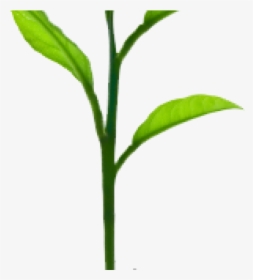 Growing Tree , Png Download - Plant Sprout Png, Transparent Png, Transparent PNG