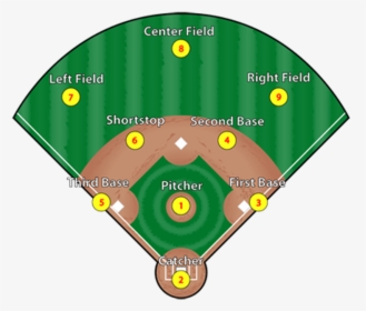 Baseball Fielding Positions Diagram - Clip Art, HD Png Download ...