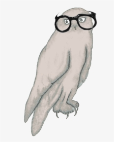 Nusss® Illustration Art Graphic Design - Great Horned Owl, HD Png Download, Transparent PNG