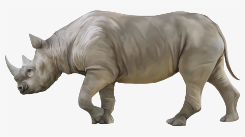 Rhino Png Clipart - Rhino Png, Transparent Png, Transparent PNG